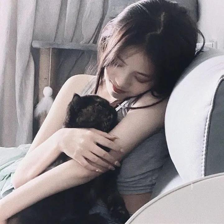 狗奴人生 在线观看